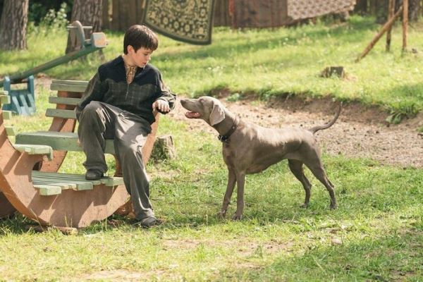 В Перми подвели итоги фестиваля «Медвежонок 3»